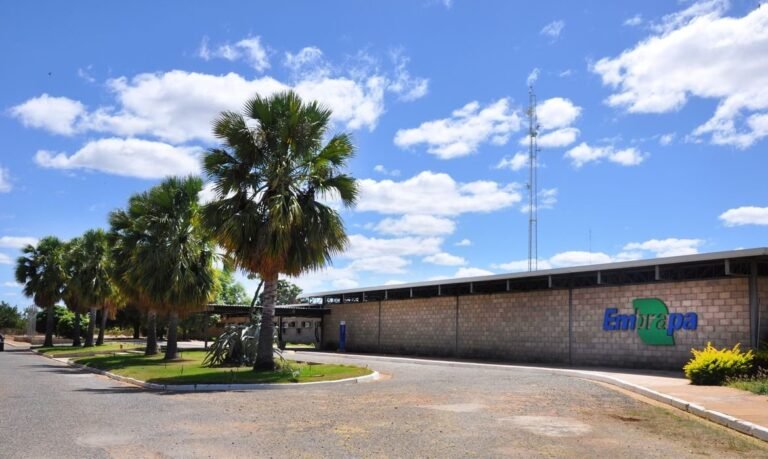 Embrapa lança concurso com 1.027 vagas; confira os salários e cargos
